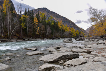 Scenery. mountainous area with a stormy river in autumn.