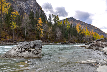 Scenery. mountainous area with a stormy river in autumn.