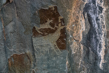 Rock paintings in the Kalbak Tash tract. Petroglyphs dating from 1000 to 5000 thousand years BC....