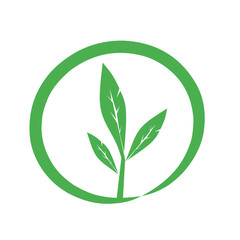 green leaf icon