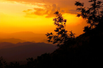 Fototapeta na wymiar beautiful golden evening sky with mountain and trees in kerala