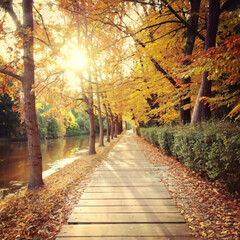 Fototapeta na wymiar Cosy wooden path along the river bank surrounded by trees on an autumn sunny day. This path located on the bank of the Falls of Clyde. The Clyde Walkway. New Lanark, Scotland, United Kingdom