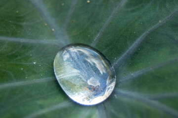 Water droplets on a bon leaf captured with a macro lens. Makes beautiful details visible