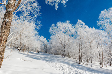 Lao Rik soft rime landscape, northwest of Zhenbong Mountain, at the junction of Helong city and...