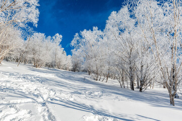 Lao Rik soft rime landscape, northwest of Zhenbong Mountain, at the junction of Helong city and Antu County, Yanbian Korean Autonomous Prefecture, Jilin Province, China