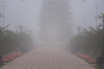 Cityscape. City street during fog.