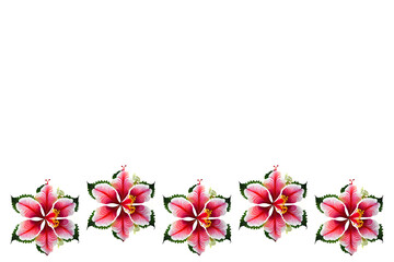 Hibiscus flower border on white background with spacefor text