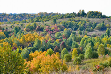 Fototapeta na wymiar Autumn landscape. Forest of deciduous trees in autumn on a sunny day.