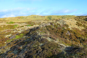 Beautiful dune landscape in Bulbjerg, northern Jutland, Denmark