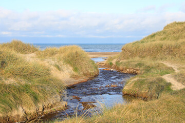 Idyllic sand beach in Thy National Park near Hanstholm in Jutland, Denmark