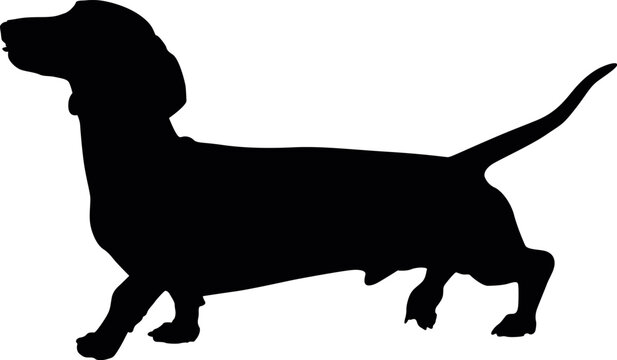 recommend clip art: Dachshund, Wiener dog, Badger dog, Doxie, Sausage dog SVG Cut File for Cricut and Silhouette, EPS ,Vector, PNG , JPEG, Zip Folder
