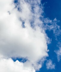 Obraz premium The face of a baboon in the clouds