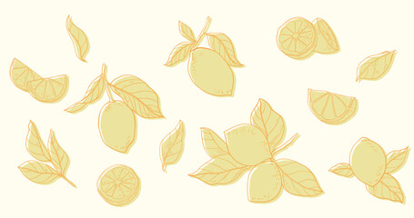 Vector illustration of lemons with leaves on a white background.