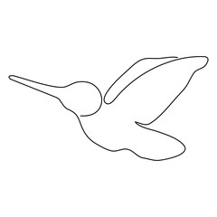 Obraz premium Continuous single-line art of hummingbird. Cute hummingbird one-line drawing vector and illustration