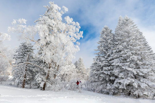 Visitors in Lao Rik scenic spot, northwest of Zhenbong Mountain, at the junction of Helong city and Antu County, Yanbian Korean Autonomous Prefecture, Jilin Province, China