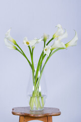 Naklejka na ściany i meble Beautiful flowers in a vase