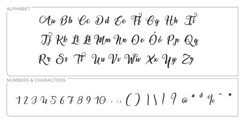 alphabet letter font set. typographic font with trendy thin, bold, uppercase, lowercase and numbers letters. vector illustration.