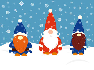 New Year's gnomes