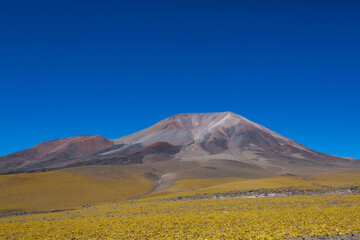 Northern Argentina