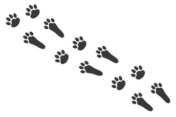 Black bunny's prints footpath. Rabbit paws footprints for Easter celebration. Animal theme. Vector isolated illustration on white background. - obrazy, fototapety, plakaty