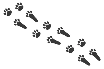 Foto op Aluminium Black bunny's prints footpath. Rabbit paws footprints for Easter celebration. Animal theme. Vector isolated illustration on white background. © Julia Me