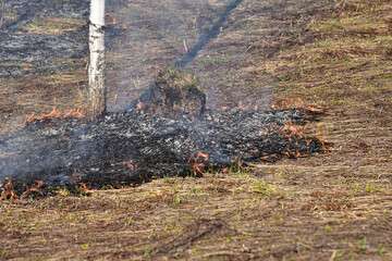 burning bushes and dry grass.