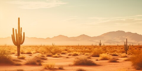 A desert landscape with cacti and warm sunlight , desert landscape, cacti, warm sunlight. - obrazy, fototapety, plakaty