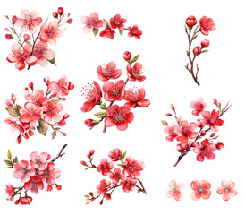 Red cherry blossom watercolor illustration set