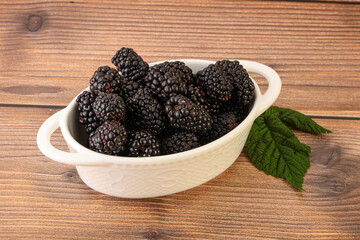Natural organic blackberry in the bowl
