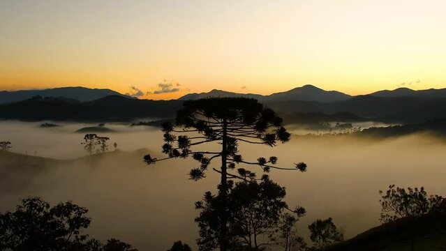 Nascer do sol
