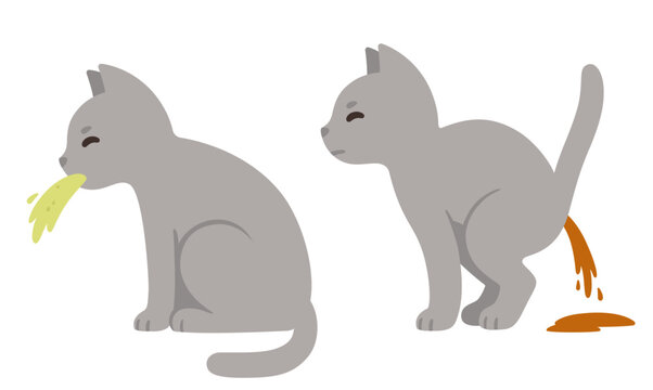 Cartoon cat vomiting and diarrhea