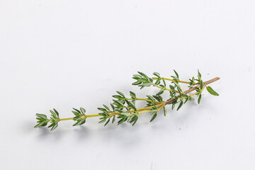 Aroma seasoning thyme stem with leaves