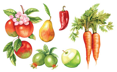 Watercolor painted collection of vegetables and fruits. Hand drawn fresh food design elements isolated on white background