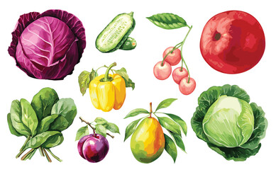 Watercolor painted collection of vegetables and fruits. Hand drawn fresh food design elements isolated on white background