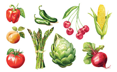 Watercolor painted collection of vegetables and fruits. Hand drawn fresh food design elements isolated on white background