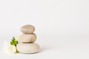 Spa stones with freesia flower on color background