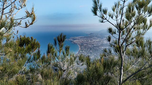 Heraklion view Through Trees