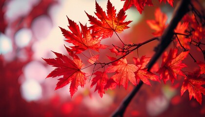 red autumn leaves suitable as background or cover