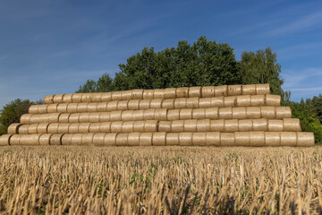 wheat straw collected in stacks after grain harvest