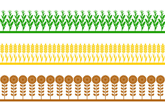 Seamless borders with agriculture fields, farm lands symbols. Concept of countryside, plants on plantation. Vector cartoon color silhouettes of wheat, sunflowers and corn isolated on white background