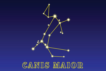 Constellation Canis Maior. Constellation Big Dog. Constellation of the southern hemisphere of the sky. The constellation contains the brightest star Sirius. Best visibility conditions in December and  © Butterfly2023