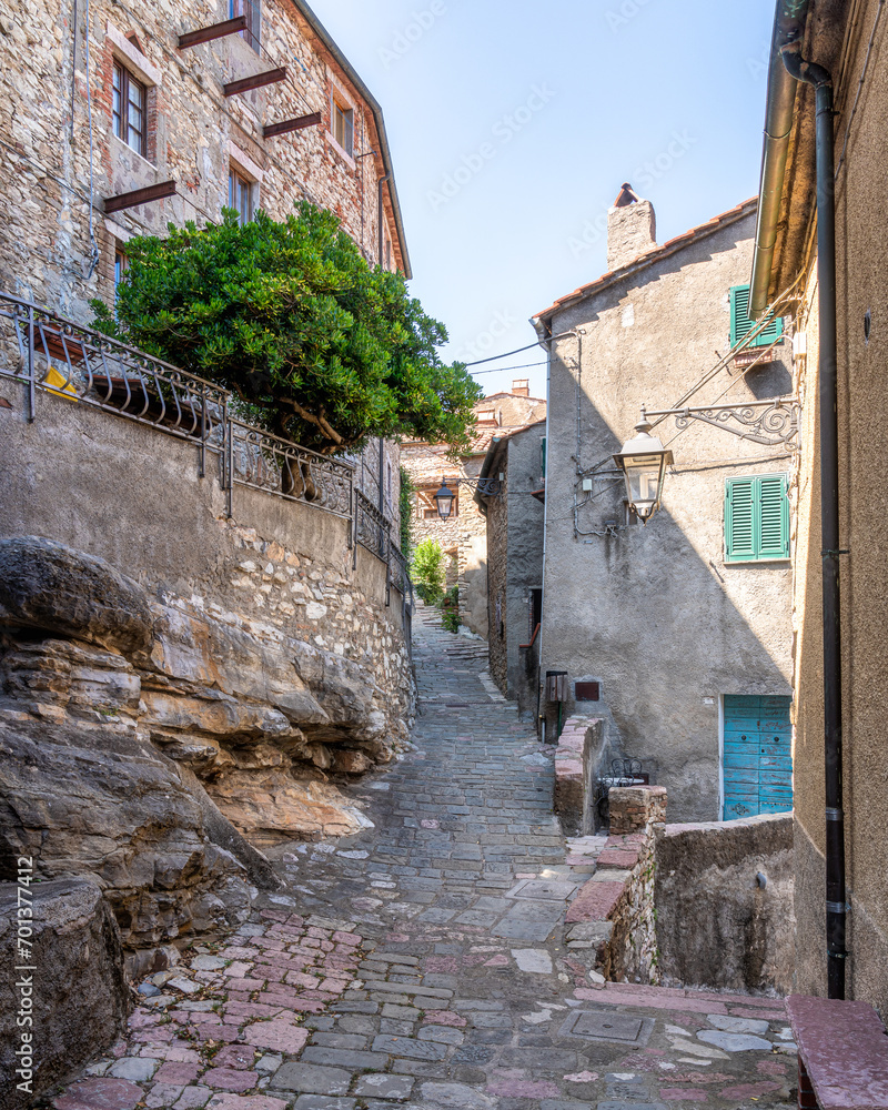 Wall mural the beautiful village of sassetta on a sunny summer day. province of livorno, tuscany, italy.