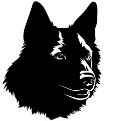 Akita vector illustration 