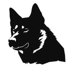 Akita vector illustration 