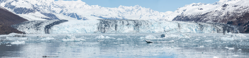 Fototapeta na wymiar Harvard Tidewater Glacier at the end of College Fjord, Alaska, USA