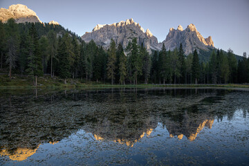 Trees Reflecting in Lago d'Antorno