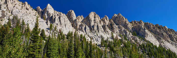 Sawtooth mountains above the trees