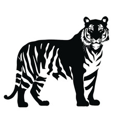 tiger mascot