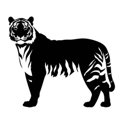 tiger  
