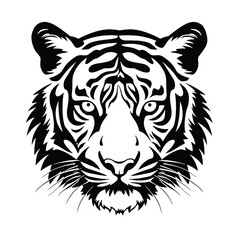 white tiger head